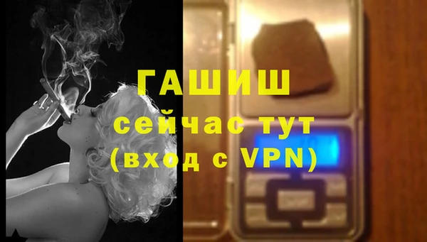 шишки Алзамай