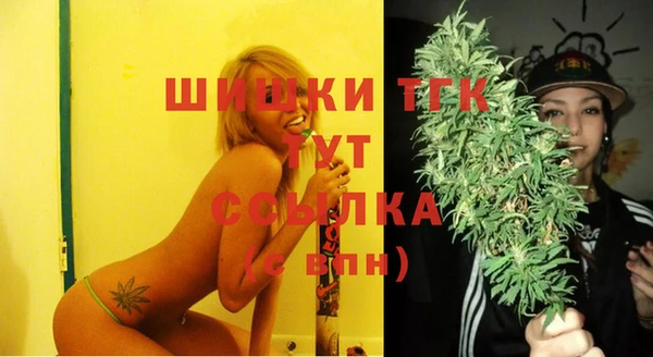 шишки Алзамай