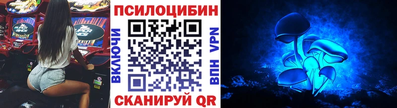 Псилоцибиновые грибы Cubensis  где купить наркотик  блэк спрут как войти  Бокситогорск 